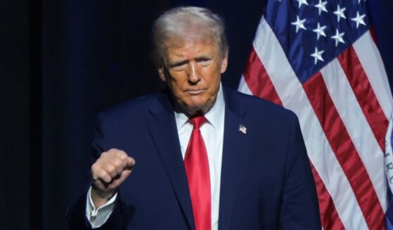 A prominent economist said if you look closely at at U.S. employment figures, there’s some very encouraging information concerning the job situation under President Donald Trump.