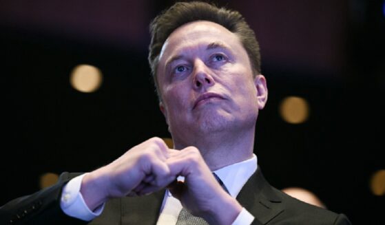 Businessman and influential political figure Elon Musk, pictured in a November file photo.