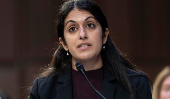 Dr. Nisha Verma is pictured in a 2023 file photo testifying before the Senate Judiciary Committee.