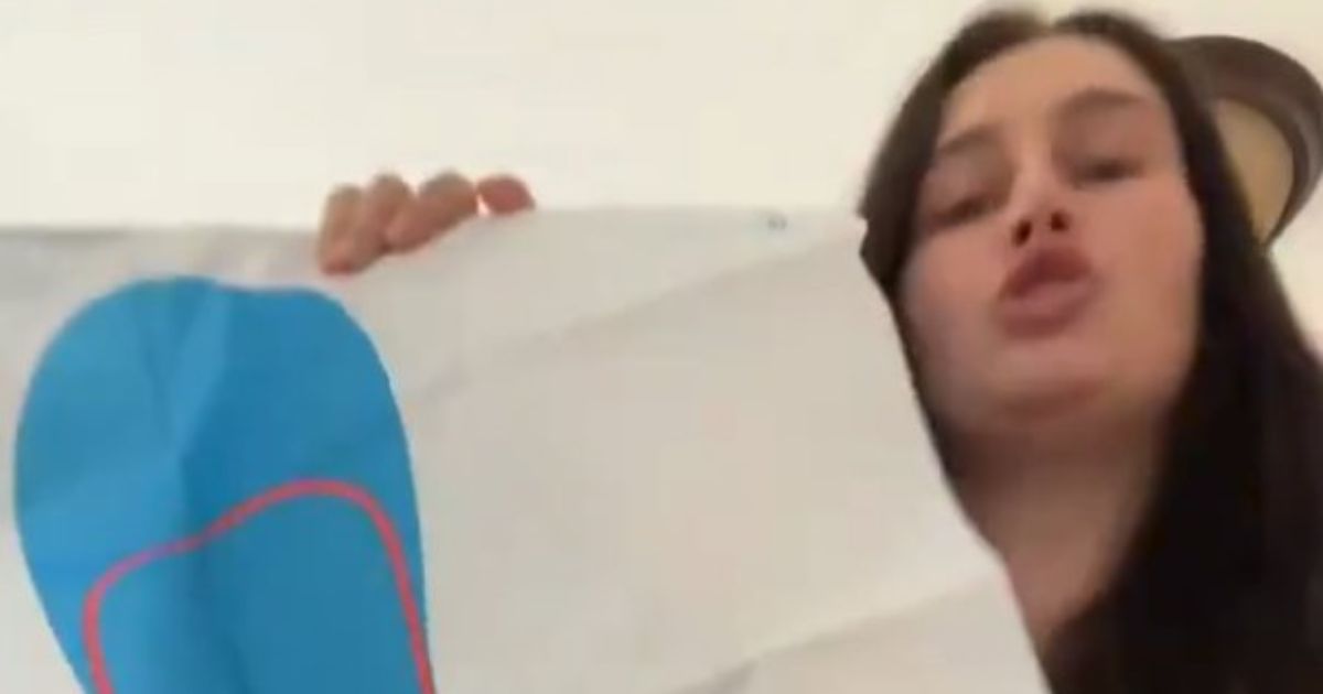 In a video posted to TikTok and then circulated in January 2026 on the social media platform X, a dark-haired, unhinged, self-described "leftist" white woman in Seattle, Washington, displayed a paper target in the shape of a human silhouette filled with bullet holes.