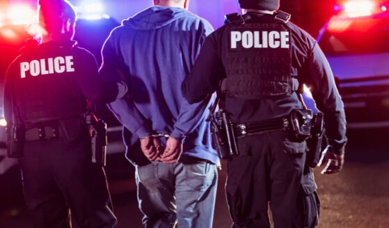 Unidentified officers are seen in a stock photo making an arrest.