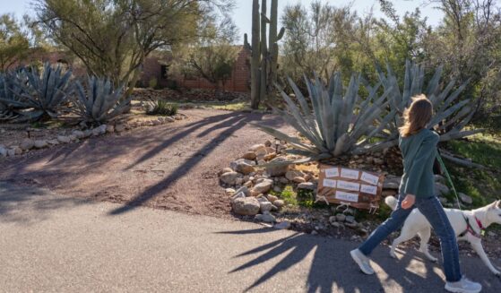 A neighbor walks a dog in front of the house of Nancy Guthrie, mother of "Today" show host Savannah Guthrie, in Catalina, Arizona.The search continues in the Tucson area for Nancy Guthrie, after she was reported missing Feb.1.