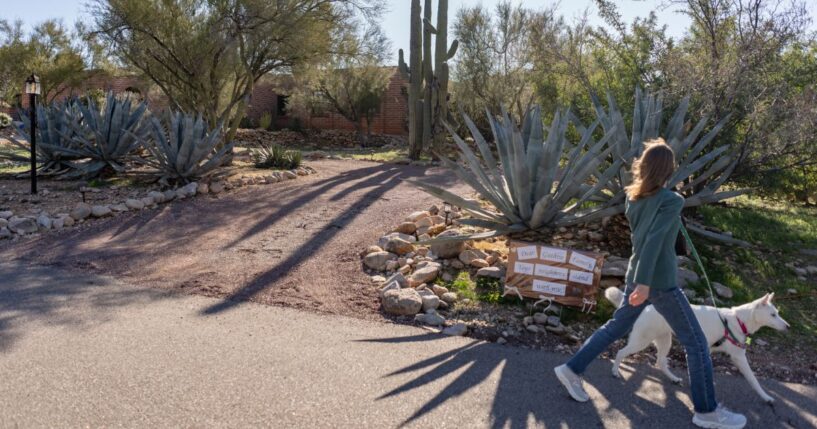 A neighbor walks a dog in front of the house of Nancy Guthrie, mother of "Today" show host Savannah Guthrie, in Catalina, Arizona.The search continues in the Tucson area for Nancy Guthrie, after she was reported missing Feb.1.