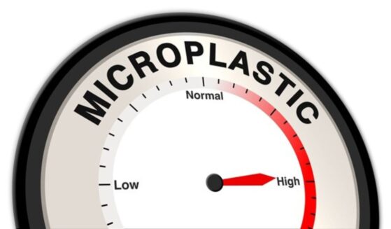 Microplastics have quietly made their way into every corner of our environment -- and every corner of the human body.