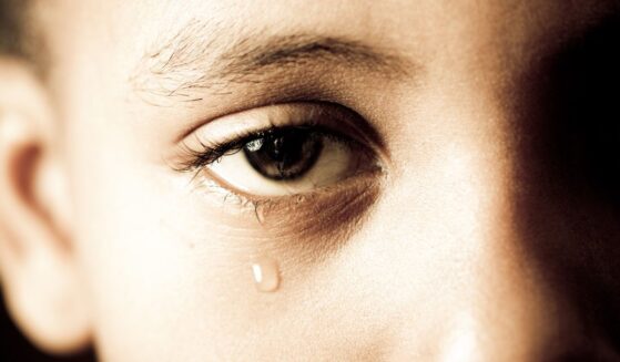 West Virginia Attorney General J.B. McCuskey filed a lawsuit against Apple Inc., alleging the company knowingly allowed its iCloud platform to be used as a vehicle for distributing and storing child sexual abuse material, and for years chose to do nothing about it.