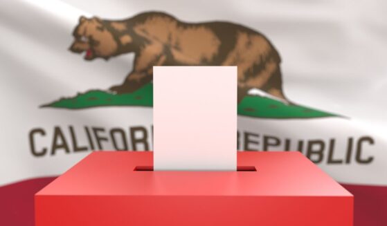 The measure would require verification of citizenship before someone could vote in a federal election, and it would require that voter rolls be kept up to date.