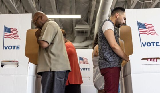 Multiple people vote at a line of polling booths.