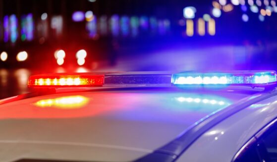 Police lights flash on top of a police car in a city at night.