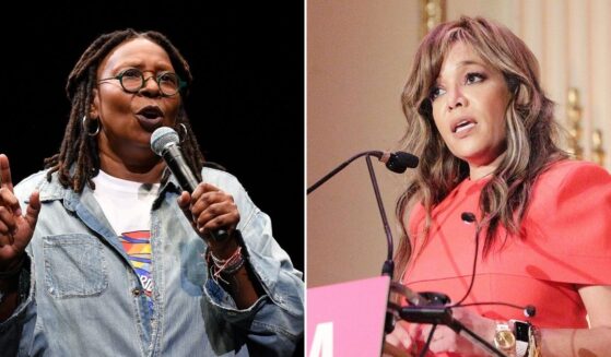 The hosts of "The View" heavily criticized conservative personality Isabel Brown for arguing that women should be encouraged to have multiple children and invest in their families.