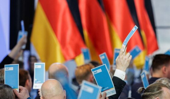Delegates hold a voting card at the AfD Saxony-Anhalt state party congress on April 11, 2026, in Magdeburg, Germany.