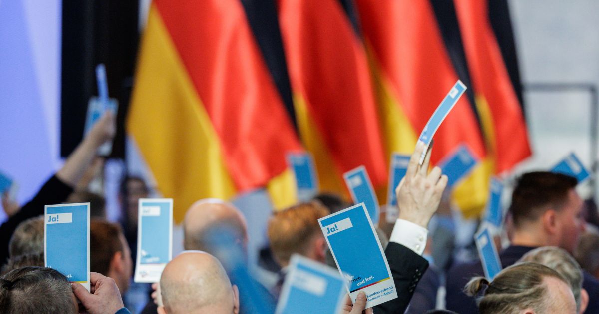Delegates hold a voting card at the AfD Saxony-Anhalt state party congress on April 11, 2026, in Magdeburg, Germany.