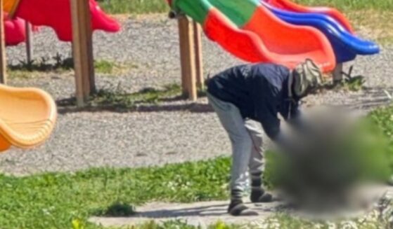 A European news outlet reported that a Nigerian immigrant killed a cat and attempted to cook it at a playground in Italy.