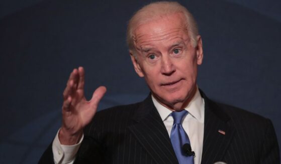 Then-former Vice President Joe Biden is seen in a photo from November 2017, the year he supposedly watched a rally and decided to "save" America by running for president.