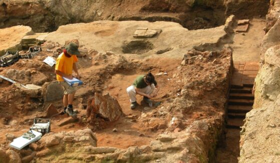A stock photograph of two archeologists at work at a dig site.