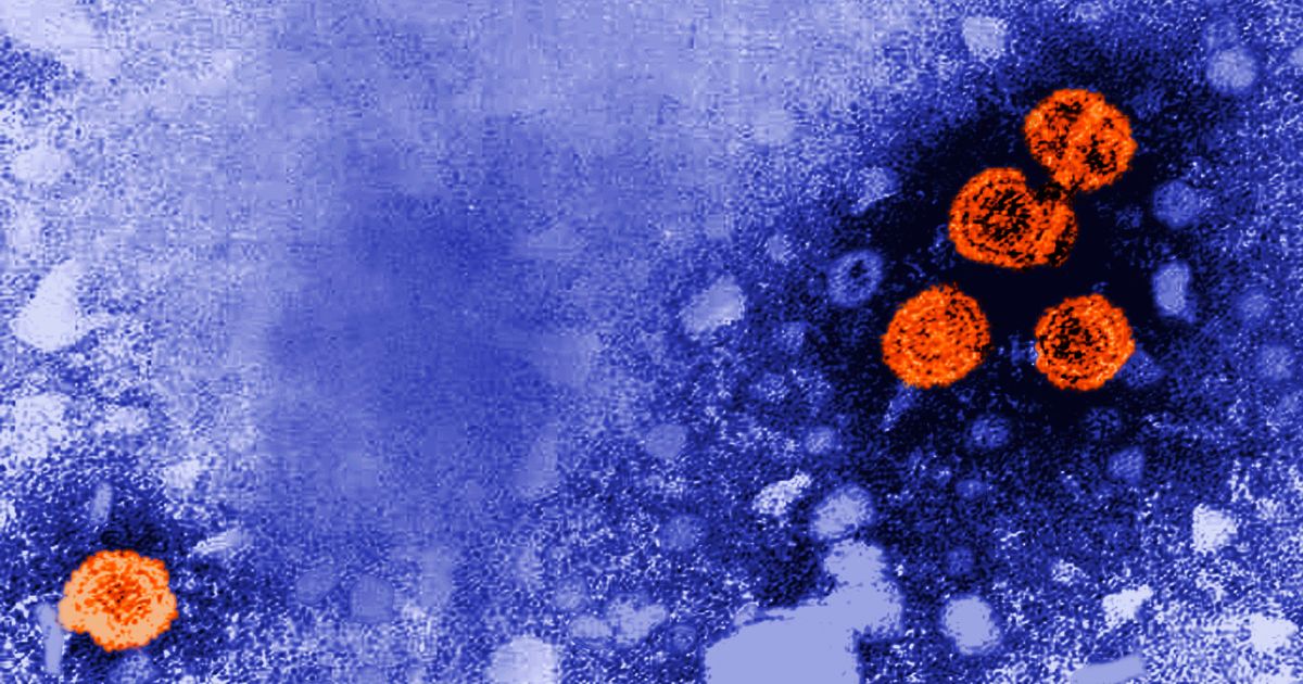 A 1981 microscopic photo of Hepatitis B is pictured.