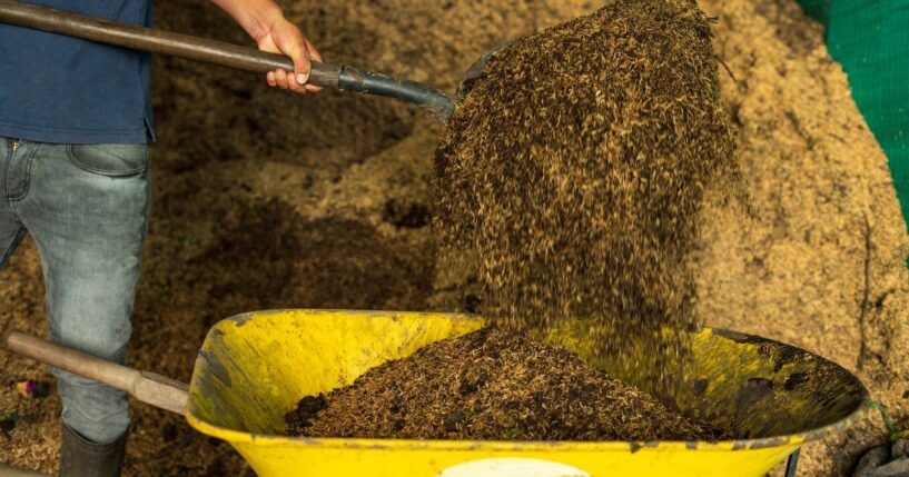 A man shovels some compost.