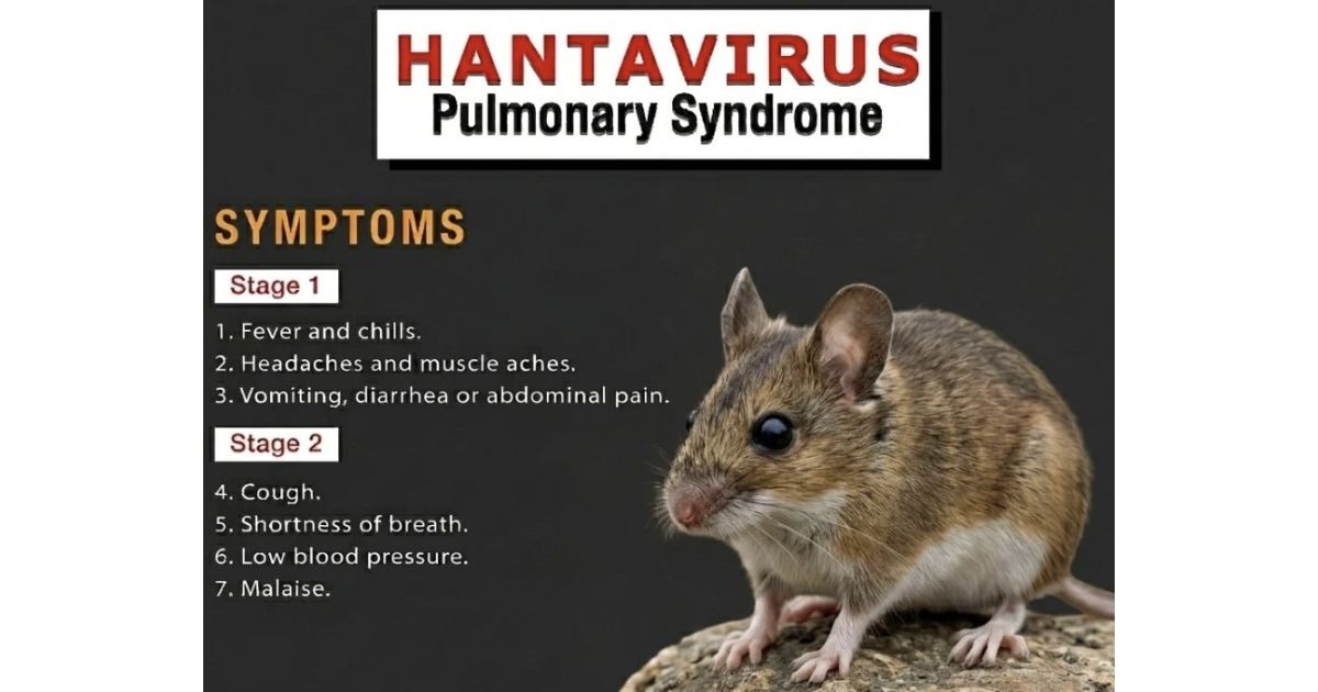  Andes hantavirus has been shown to spread person-to-person. Add that to a confined ship, shared air systems, and weeks of silent incubation, and you have a perfect storm.