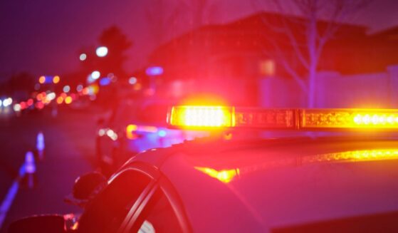 A police car at night alongside a road with emergency lights flashing.