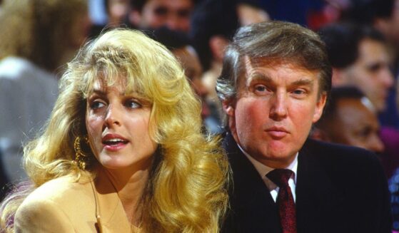 Donald Trump looks on during an New York Knicks NBA Basketball game circa 1993 at Madison Square Garden in the Manhattan Borough of New York City.