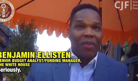 A man identified as a White House senior budget analyst appeared on hidden camera insisting that "We've got to get rid of" President Donald Trump.