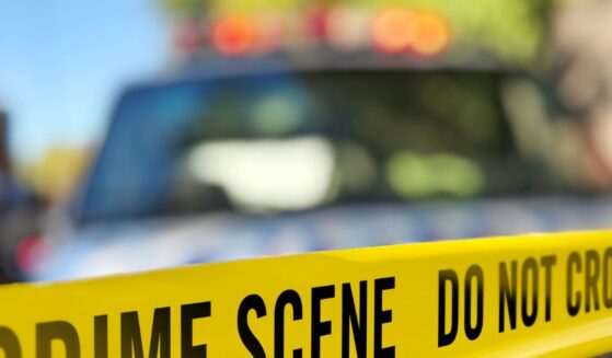 The child reportedly took the gun from where it was stored under a mattress. The owner of the gun was also charged with murder.