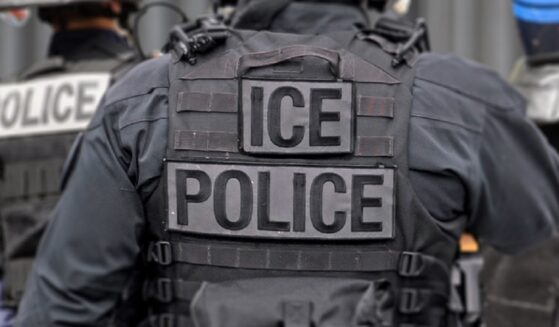And Immigration and Customs Enforcement agent is seen from behind in a file photo.