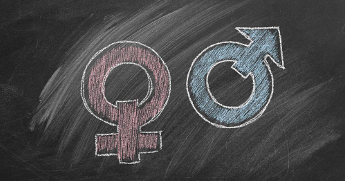 Two gender symbols are drawn on a chalkboard. One for male, and one for female.