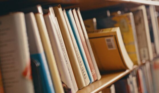 Leaned books on a shelf are pictured.