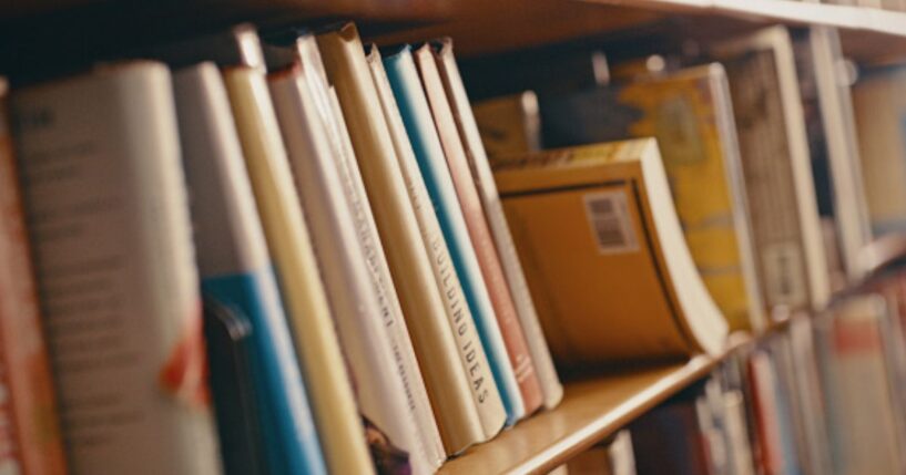 Leaned books on a shelf are pictured.