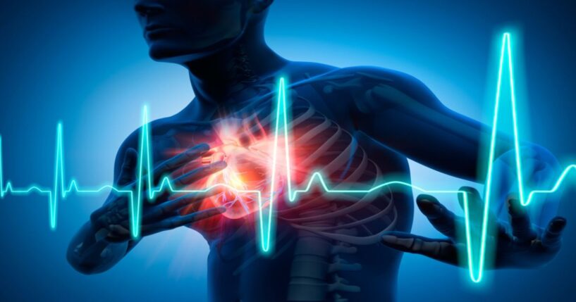 “Almost everyone forgets their heart is a muscle. And like any muscle, it needs protein-like nutrients to stay strong.”