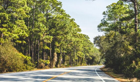 A road near the coast in Alabama.