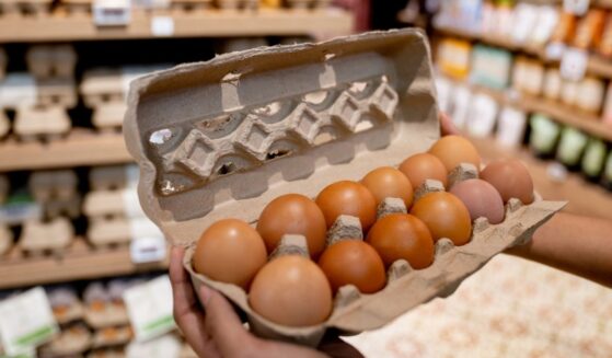 The eggs originated in Texas and were distributed to several southern states.