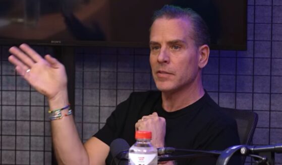 Hunter Biden went on an expletive-filled rant against President Donald Trump, his kids, and even his grandkids.