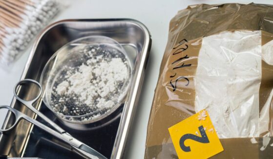 Investigators said the professor marketed and distributed two forms of fentanyl powder, resulting in at least eight overdoses.