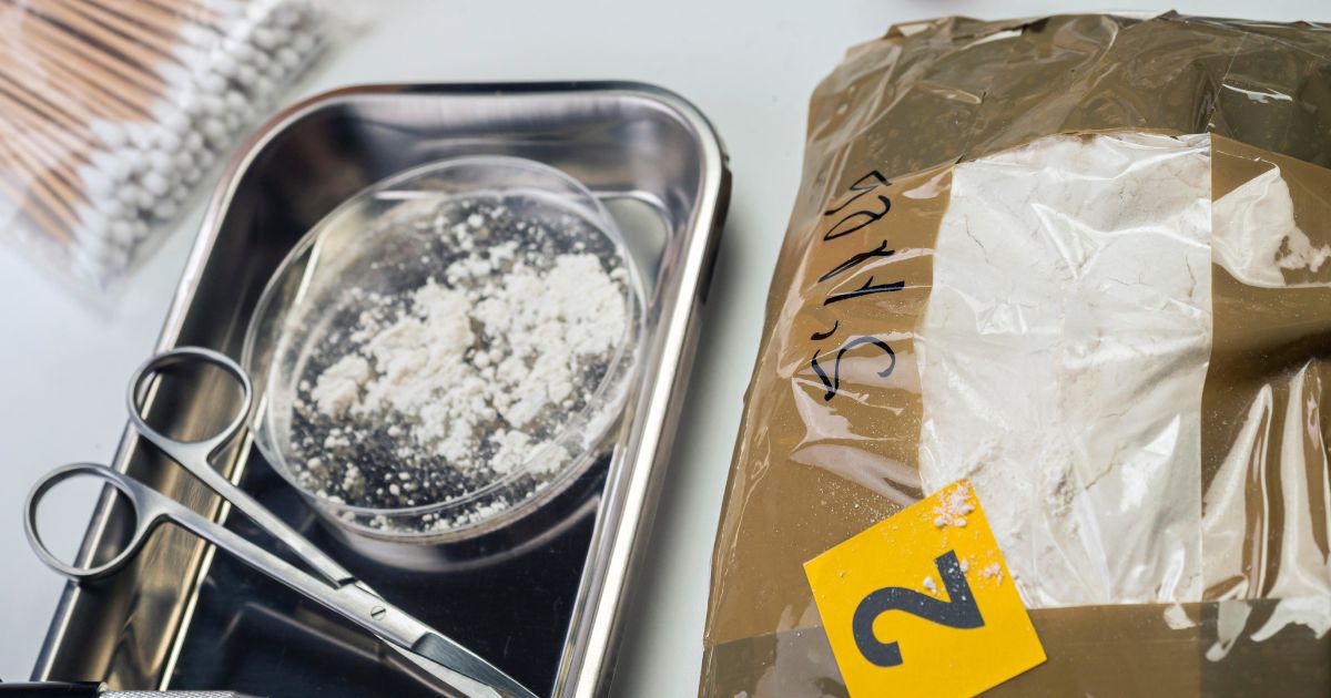 Investigators said the professor marketed and distributed two forms of fentanyl powder, resulting in at least eight overdoses.