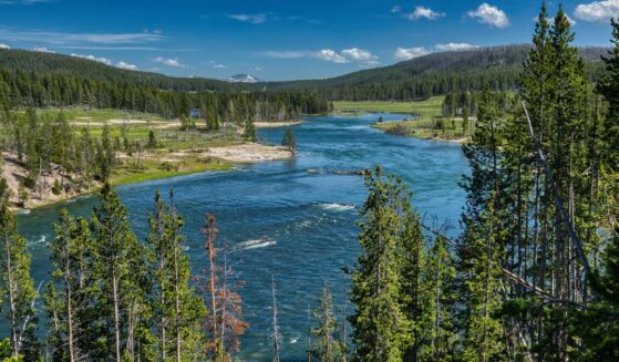 A visit to a campsite on the Yellowstone River quickly turned into the scene of an emergency water rescue over the July Fourth weekend.