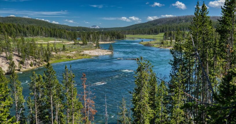 A visit to a campsite on the Yellowstone River quickly turned into the scene of an emergency water rescue over the July Fourth weekend.