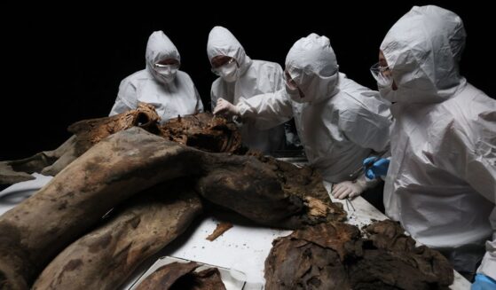 Scientists perform a necropsy on the 50,000-year-old baby mammoth nicknamed "Yana" at the North-Eastern Federal University in Yakutsk on March 27, 2025.