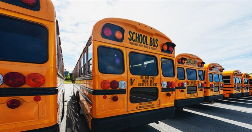 A fleet of school buses in a parking lot.