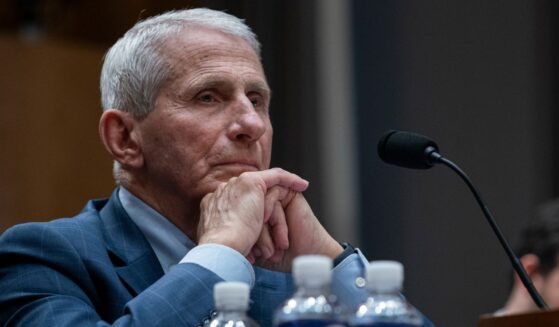 Former director of the National Institute of Allergy and Infectious Diseases Anthony Fauci evidently gave one fatality figure to the public, but a vastly different one in his private journal.