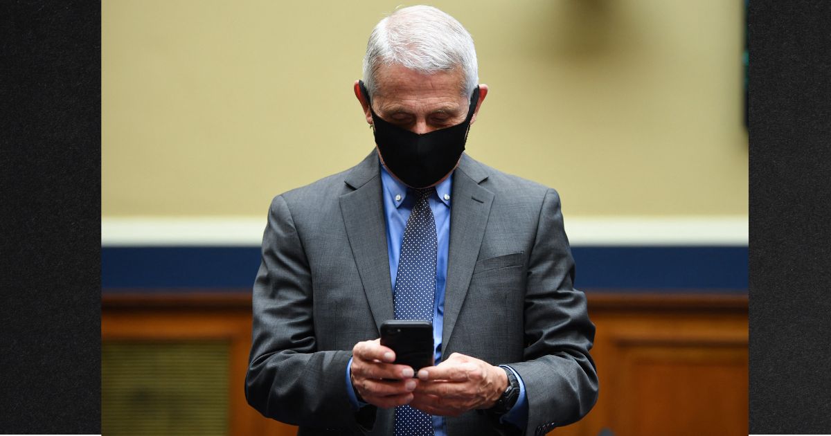 Director of the National Institute for Allergy and Infectious Diseases Dr. Anthony Fauci is pictured using his cell phone on June 23, 2020, before testifying before a U.S. Senate Health, Education, Labor, and Pensions Committee hearing.