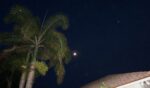 A full moon and palm trees.