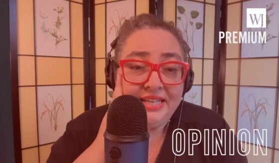 Democratic Socialists of America co-chair Megan Romer struggled to provide specifics on her plan for "taxing the hell out of millionaires."