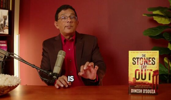 Dinesh D'Souza's book, "The Stones Cry Out," walks readers through archaeological finds that align with the biblical record.