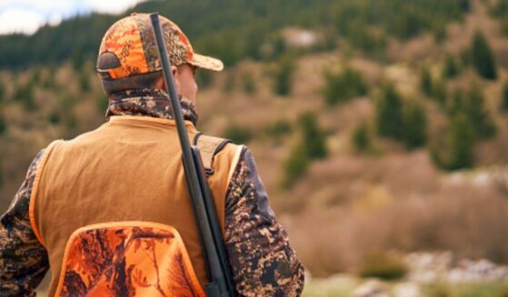 A hunter looks out at an empty field in a remote forest.