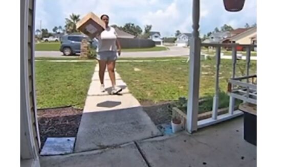 The delivery driver launched the package from several feet away, causing it to fly through the air before rolling onto the porch.