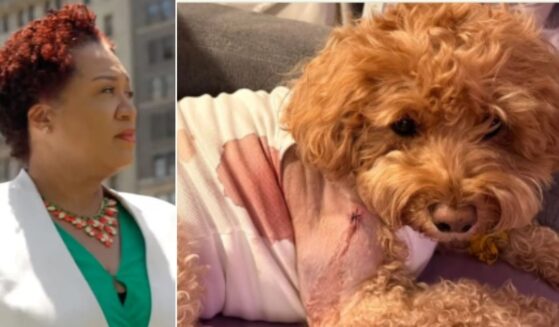 Brooklyn Judge Janice Robinson, left, let a man go free without bail after he was charged with attempted murder for allegedly shooting at a man, but accidentally hitting the service dog of a woman with Down syndrome. The dog, Honey, survived.
