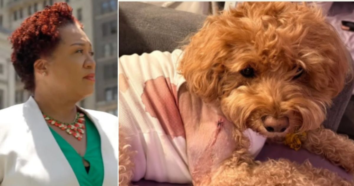 Brooklyn Judge Janice Robinson, left, let a man go free without bail after he was charged with attempted murder for allegedly shooting at a man, but accidentally hitting the service dog of a woman with Down syndrome. The dog, Honey, survived.