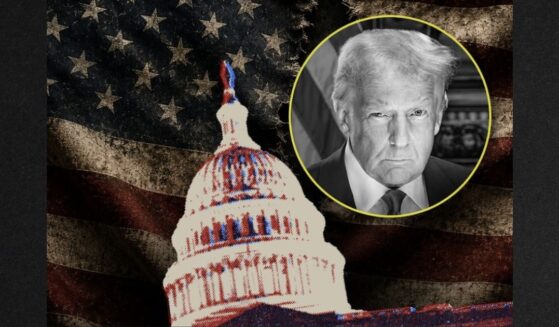 A longtime D.C. insider has gone public with alarming new research about what could be in store this summer leading up to Election Day.