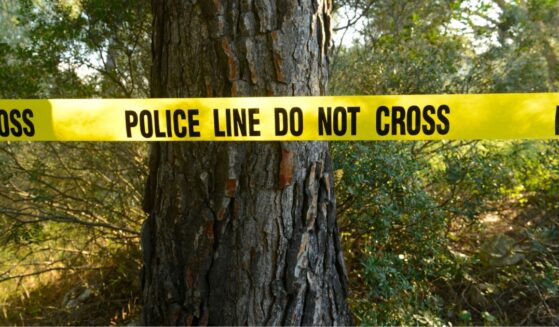 The suspect was reportedly playing with the shadow thrown by his tree-grappling equipment and failed to notice how close it was to the coworker.